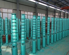 山(shan)東深井泵