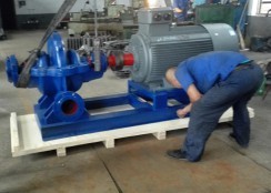 雙吸中(zhong)開泵