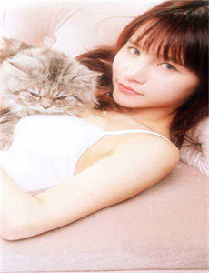 《MC动画女孩的白色液体鱿鱼-剩男相亲》